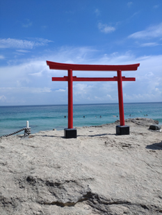 写真1